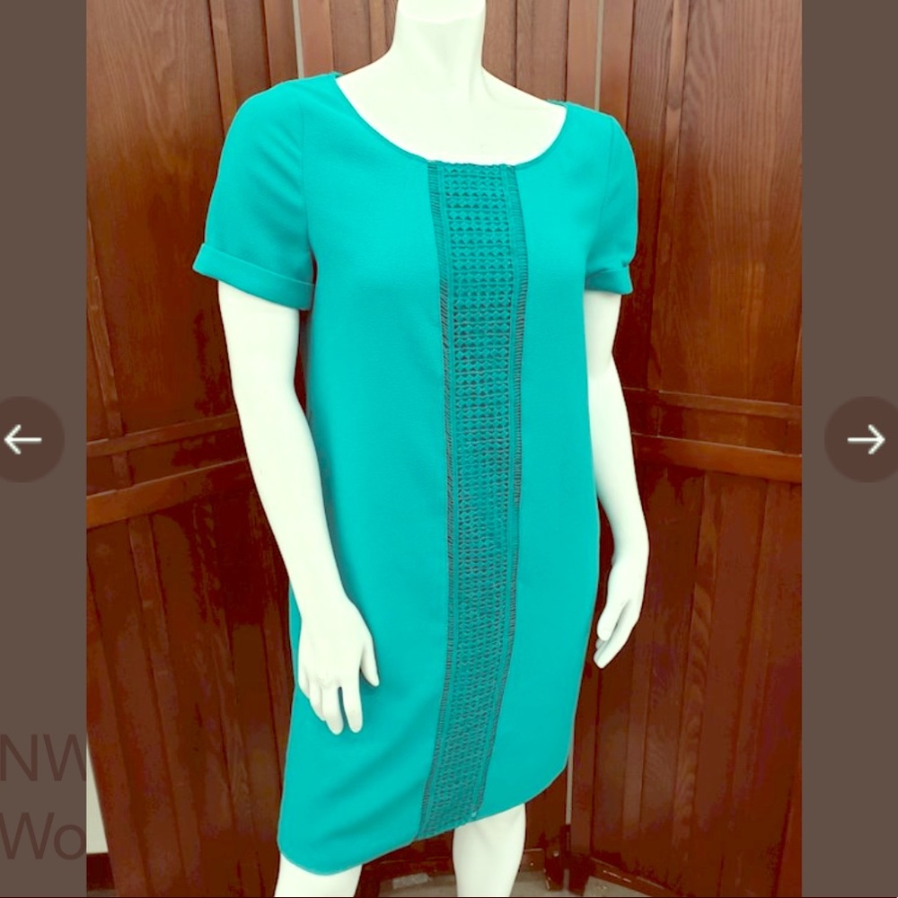 Limited  NWT Teal Dress